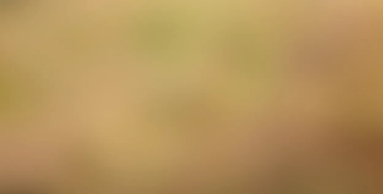 New Background hd