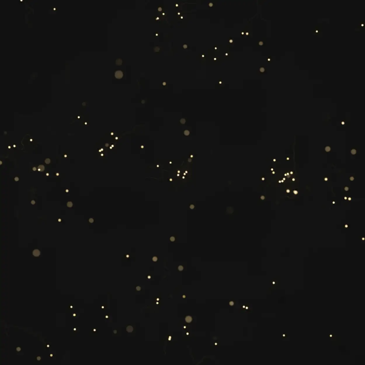 Free Download New Year Background Hd For Poster - High Quality New Year Background Hd Background