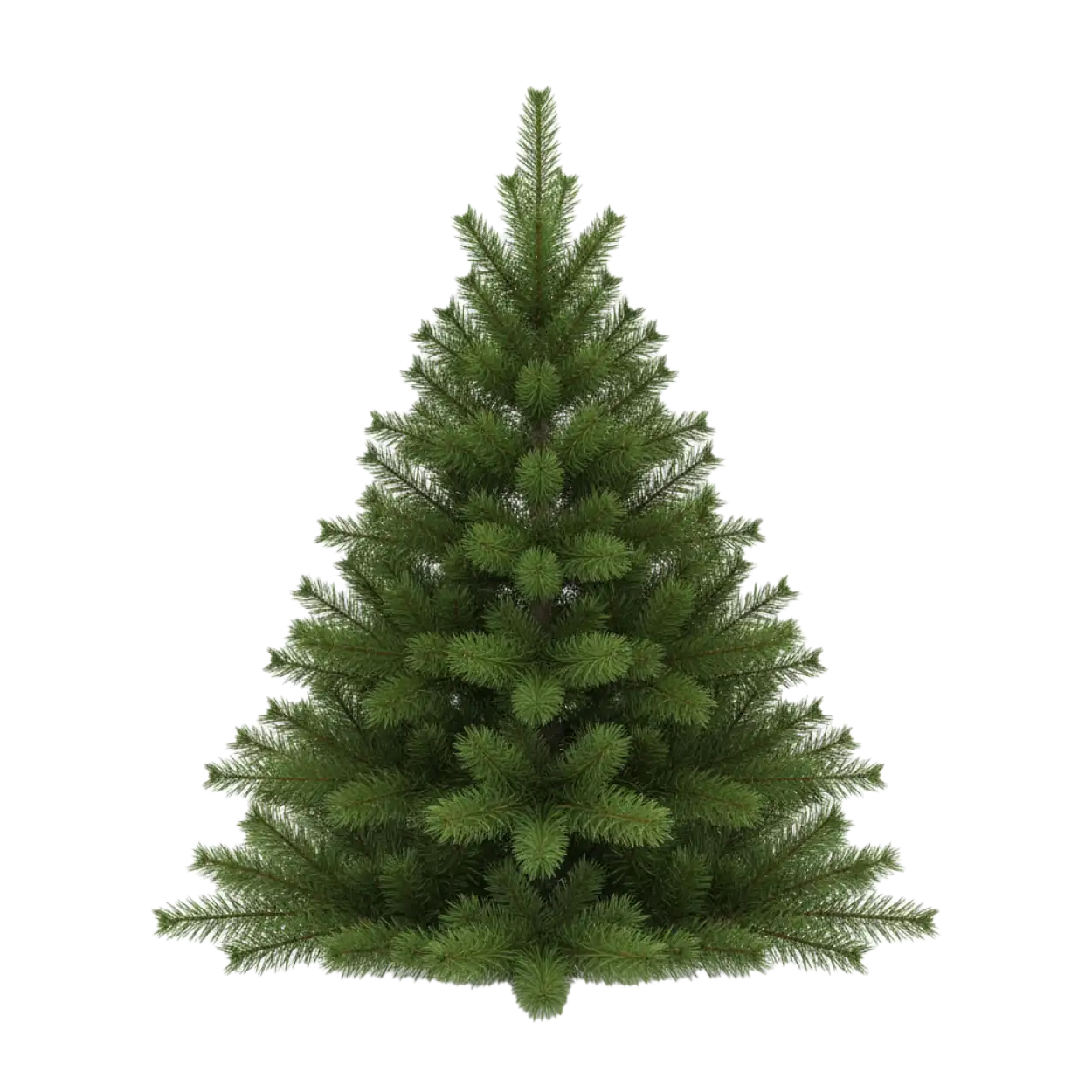 Premium realistic Christmas tree PNG