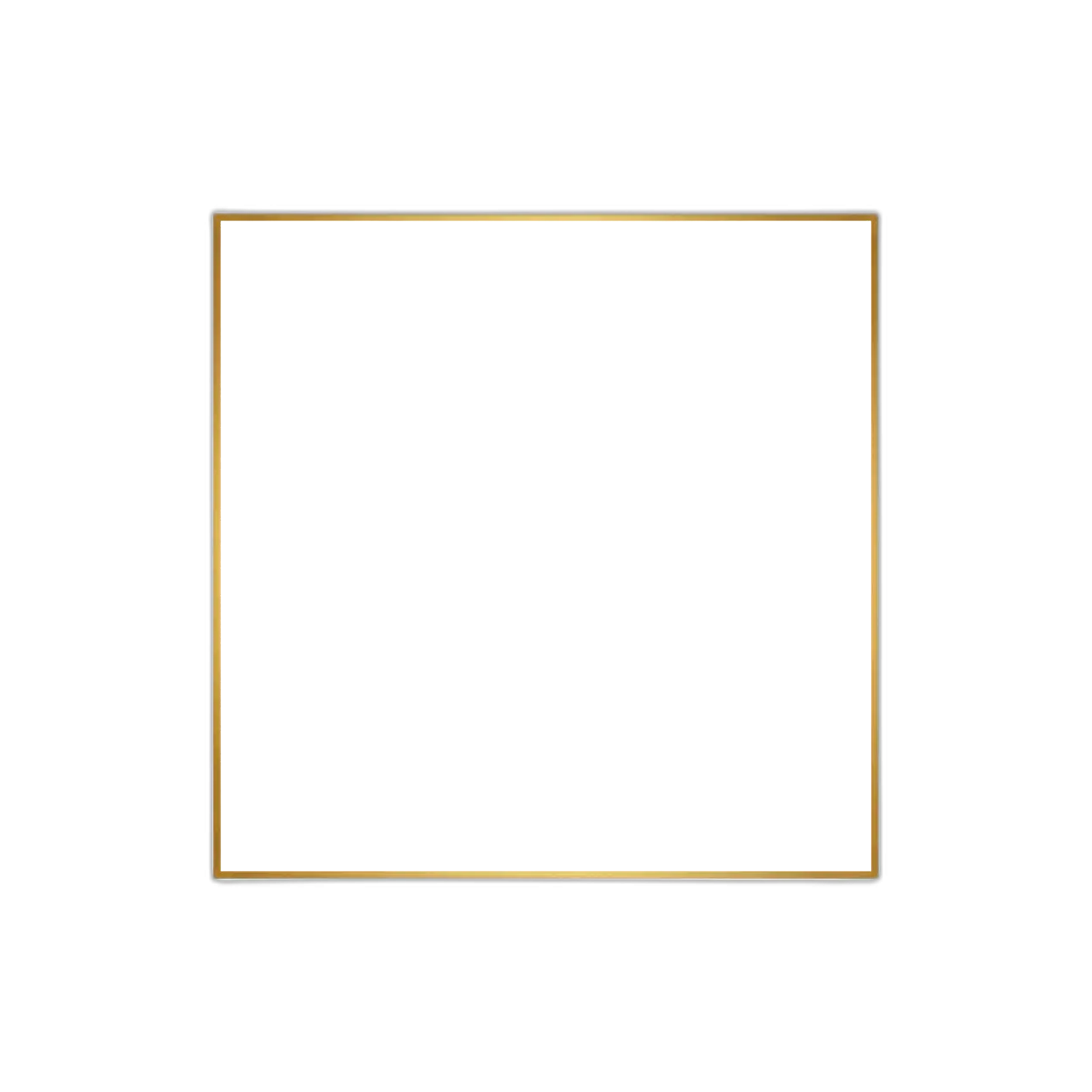 professional frame png