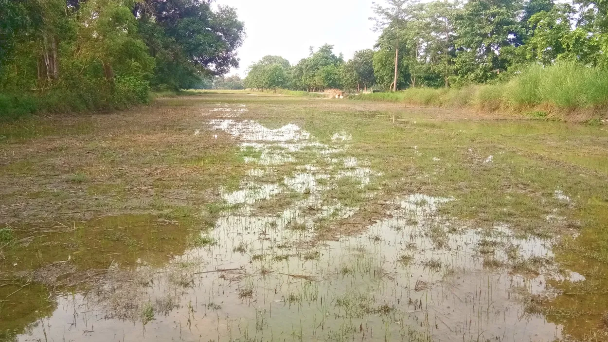 Free Download Rain Water Harvesting In Agricultural Land Photoshop Editing Images - High Quality Photoshop Background