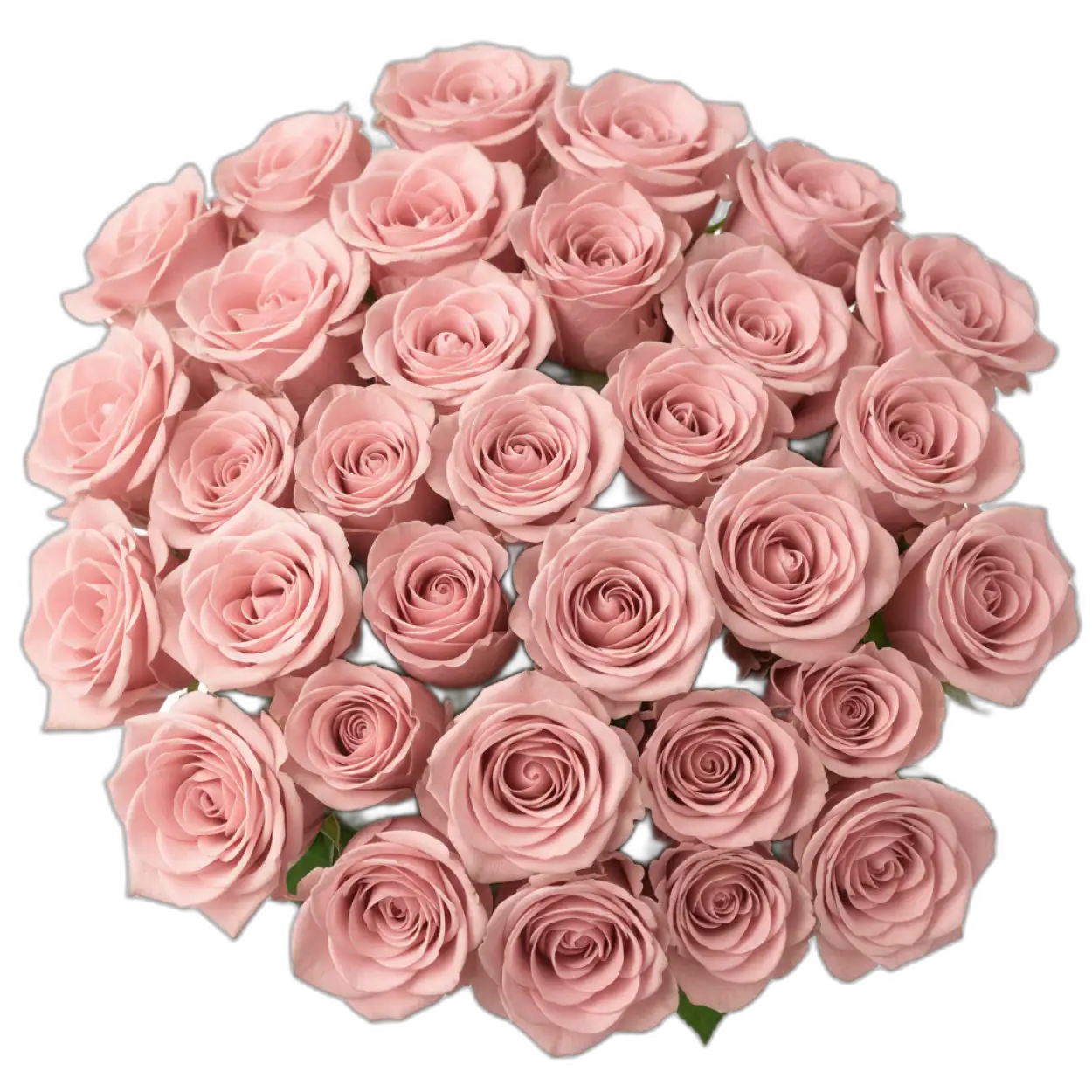 Free Download Rose Bouquet Png Clipart - High Quality Rose Bouquet Png PNG Image