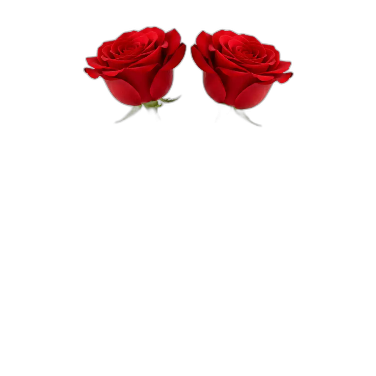 rose png flower art