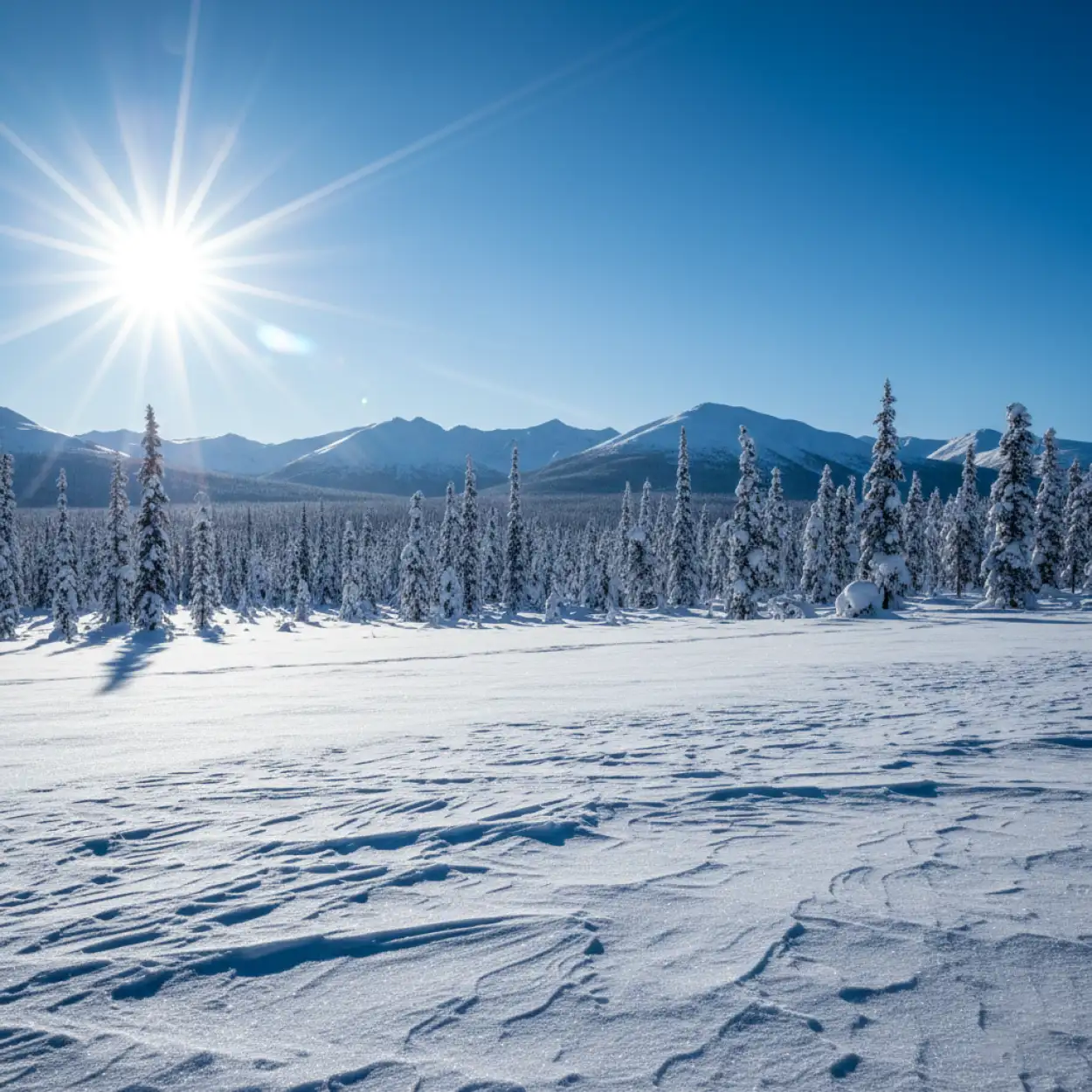 snow background images for mobile wallpaper