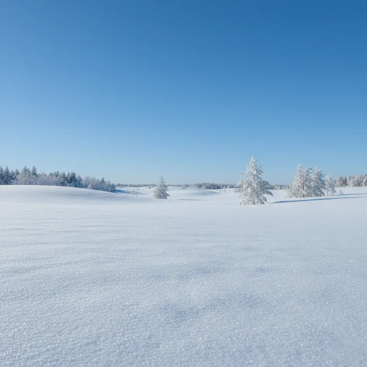 snow background images with bokeh