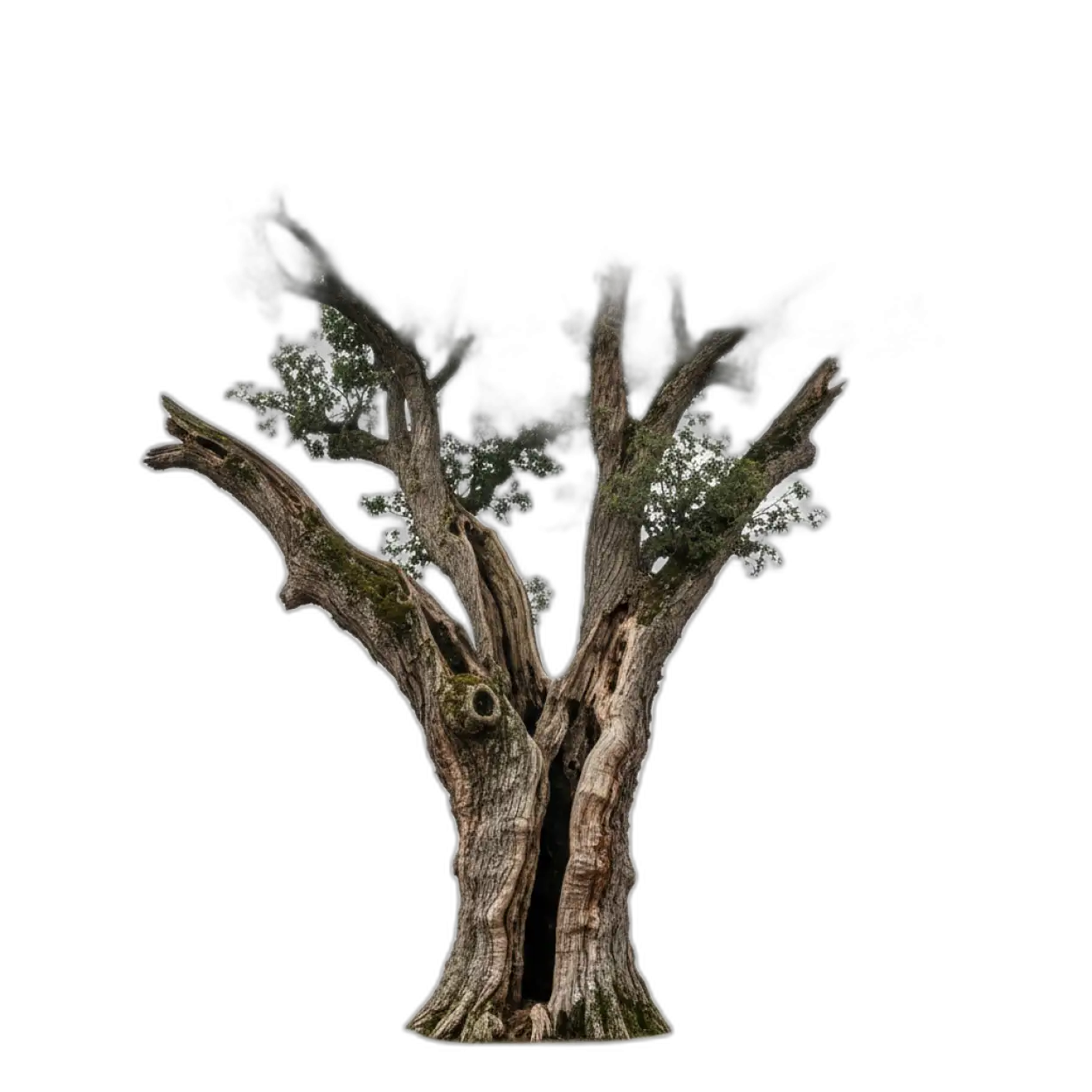 tree png for flex banner