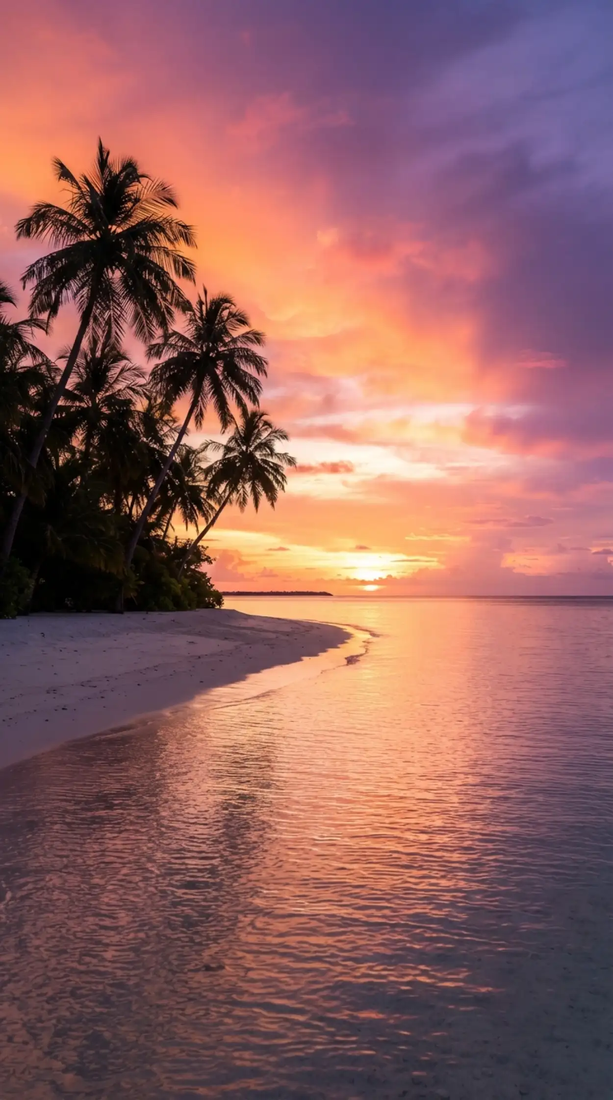 Free Download Tropical Beach Sunset Background - High Quality Tropical Summer Background Background Image