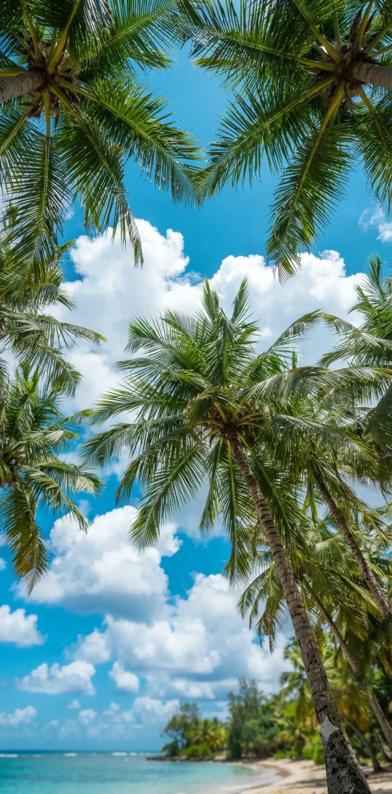 Free Download Tropical Blue Sky Background - High Quality Tropical Summer Background Background Image
