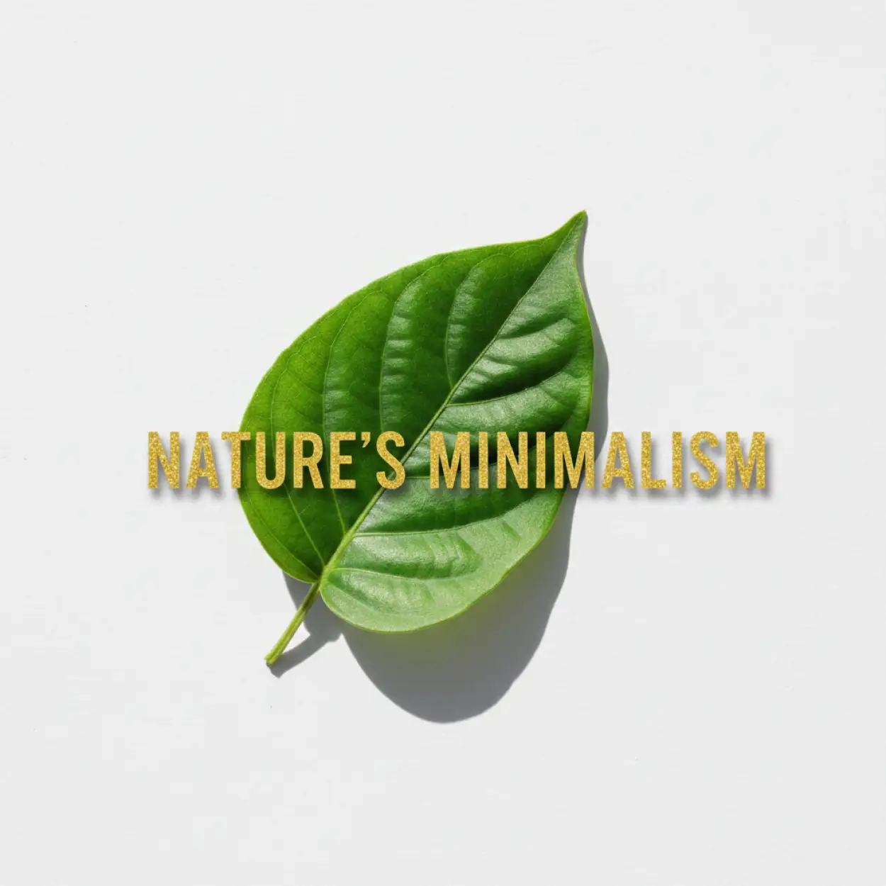 tu bishvat environmental quotes