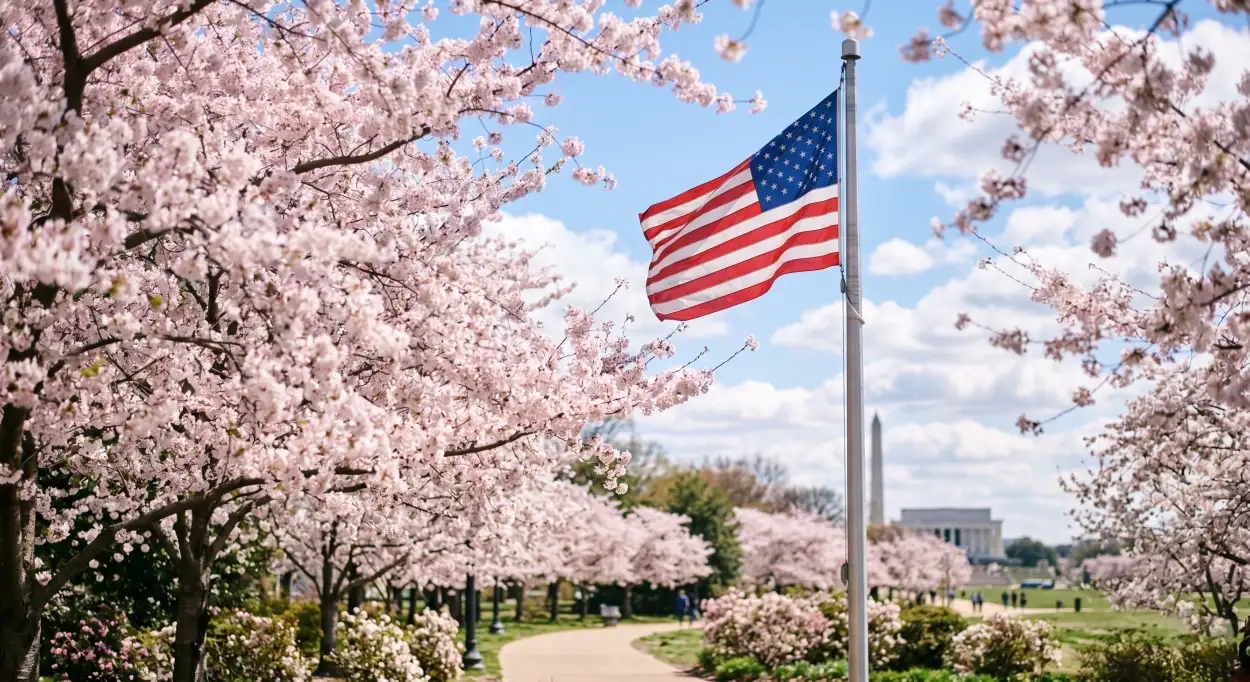 Free Download Usa Flag Images For Memorial Day Tribute Posts And Banners - High Quality Usa Flag Image