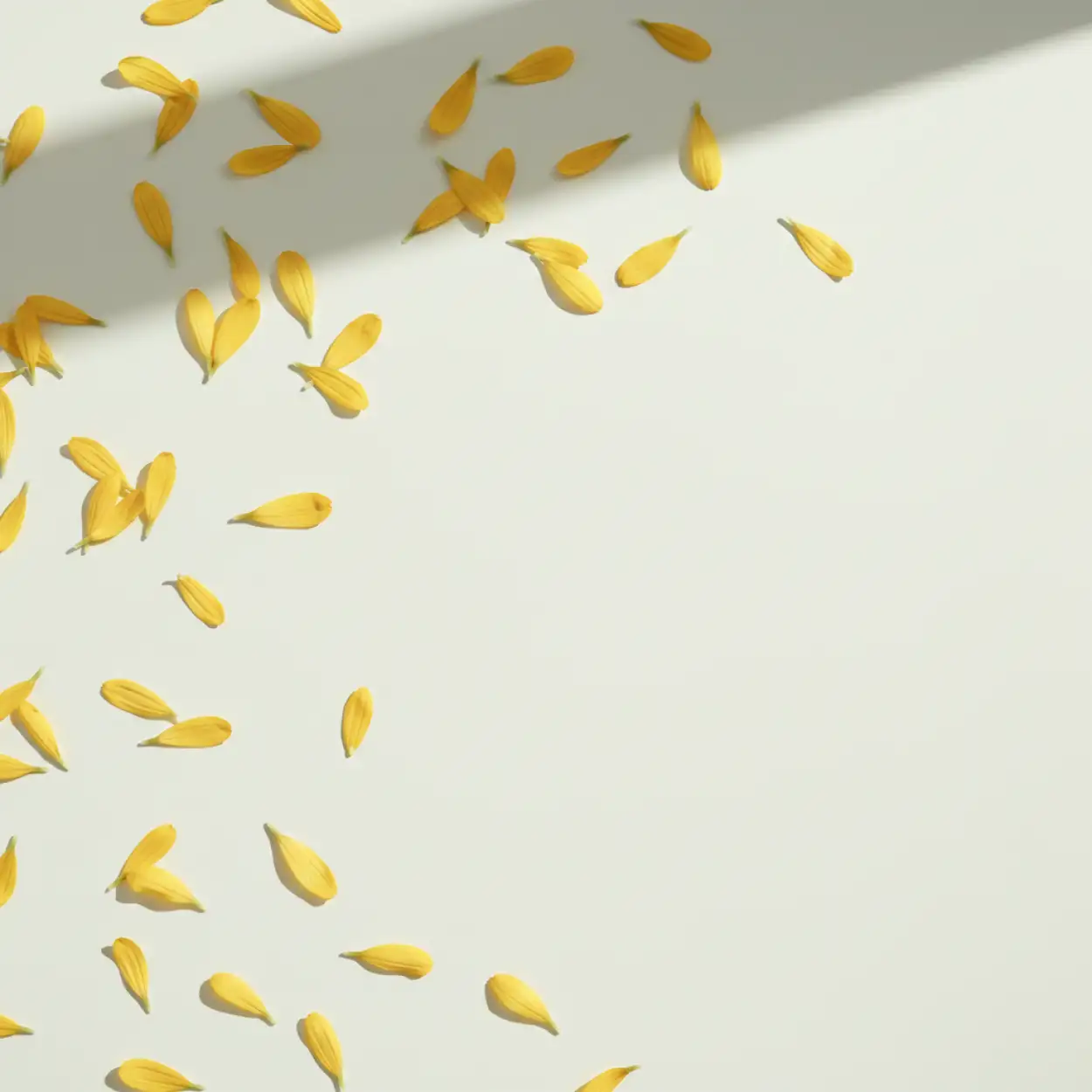 vasant panchami background for website header design