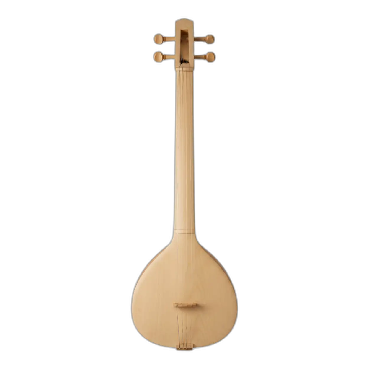 veena png for basant panchami poster