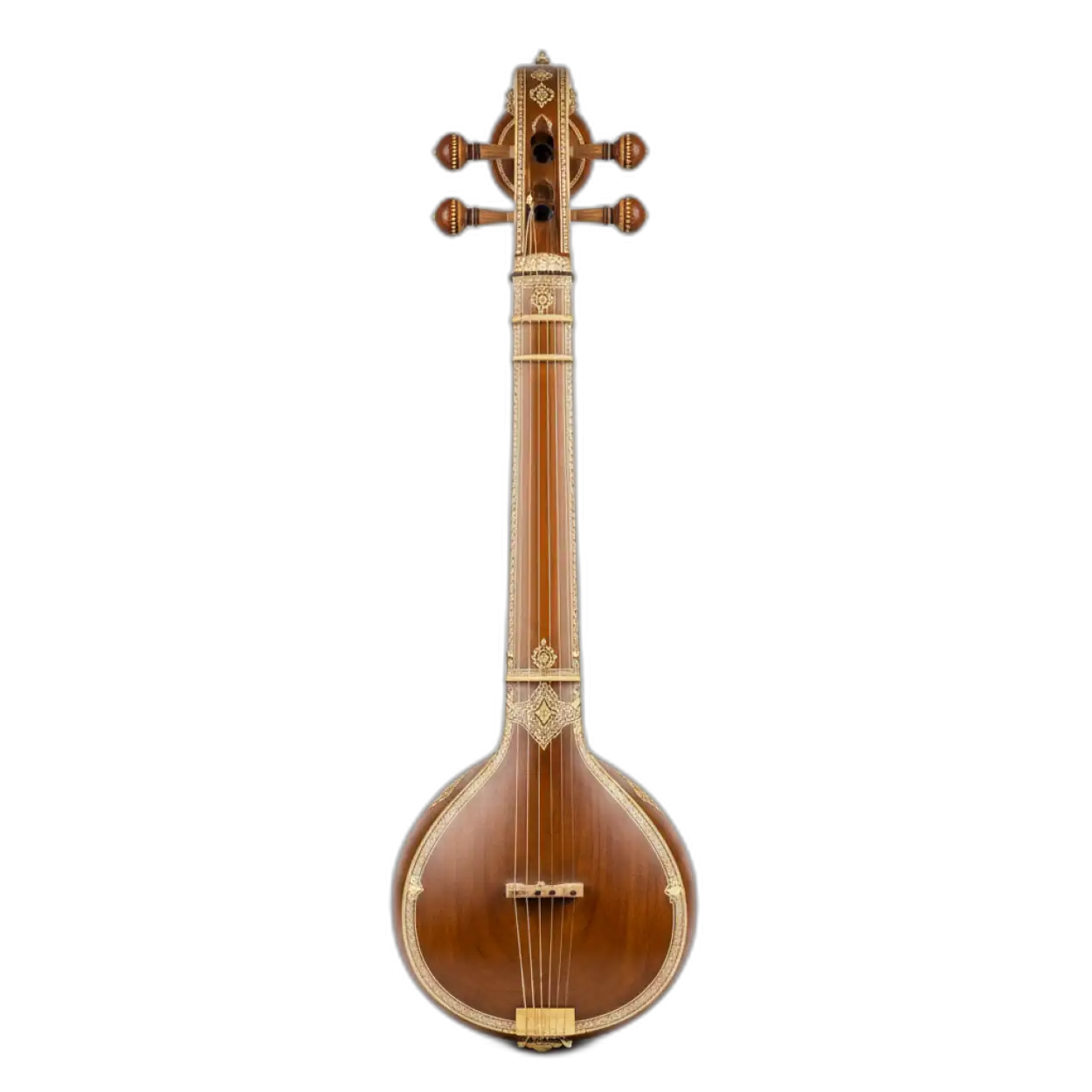 veena png hd transparent image