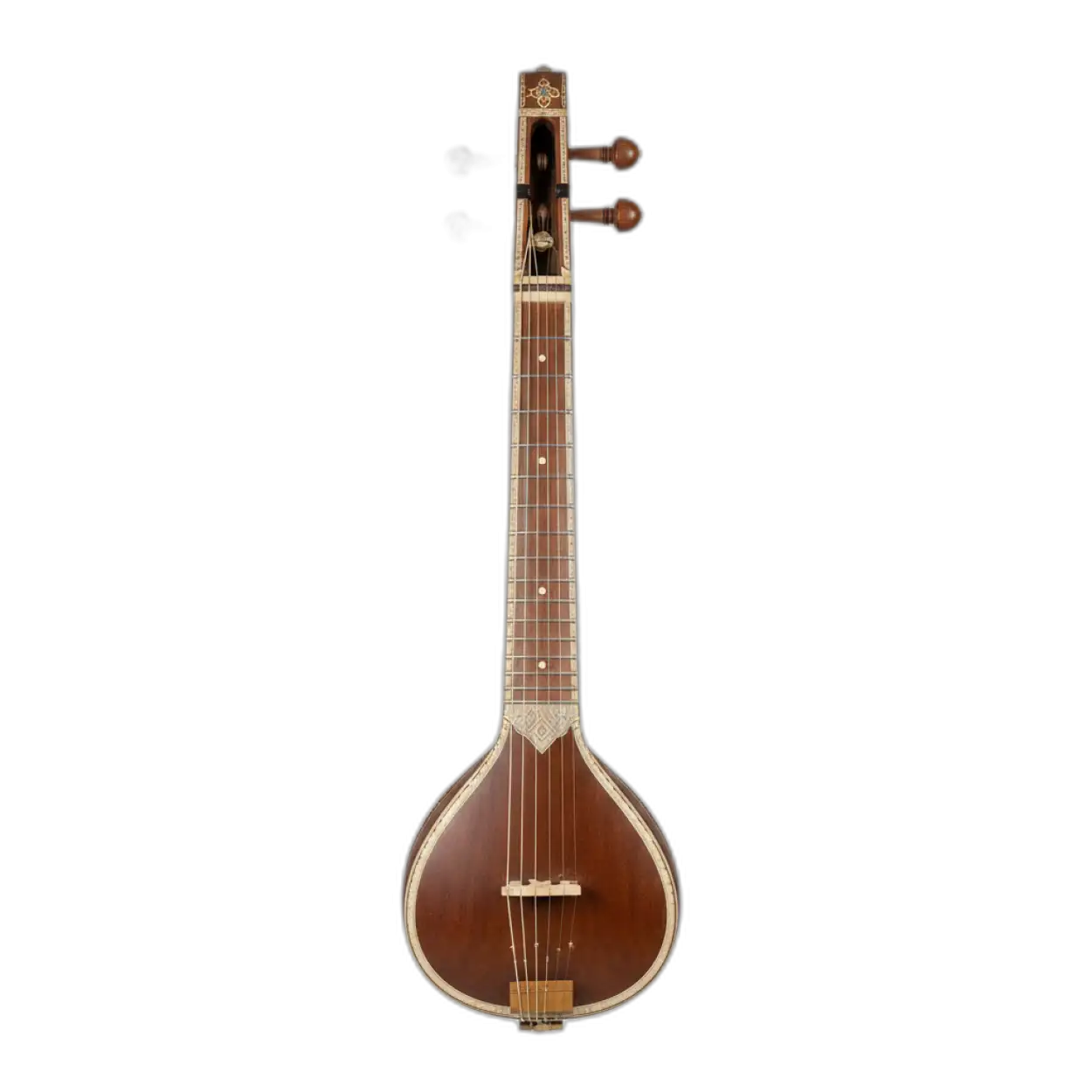 veena png with white background