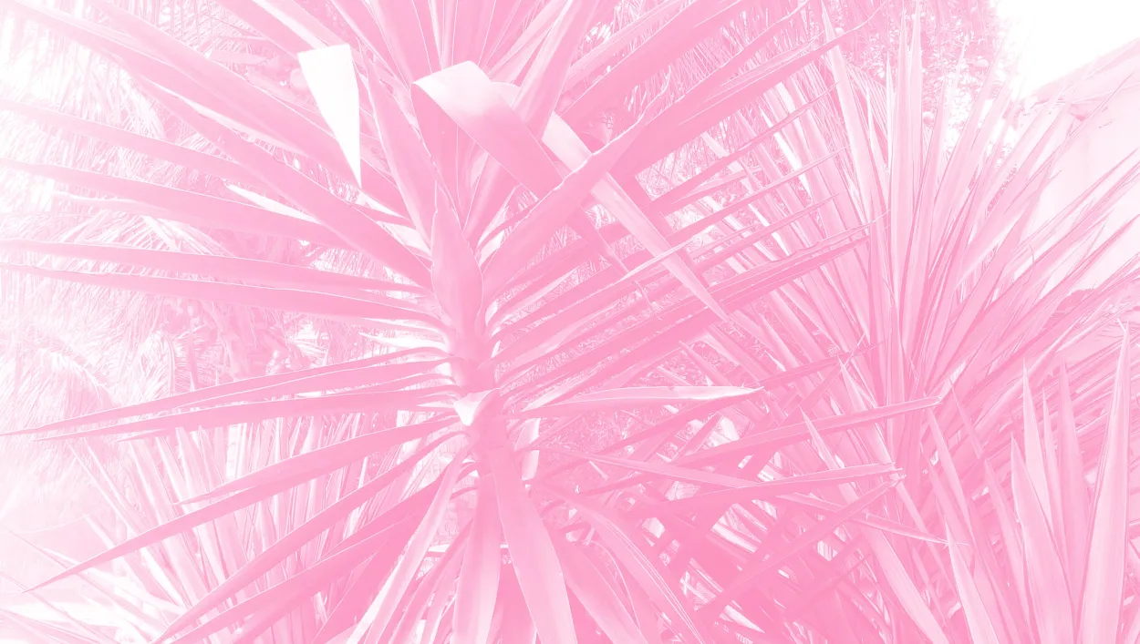 Wallpaper Light Pink Background