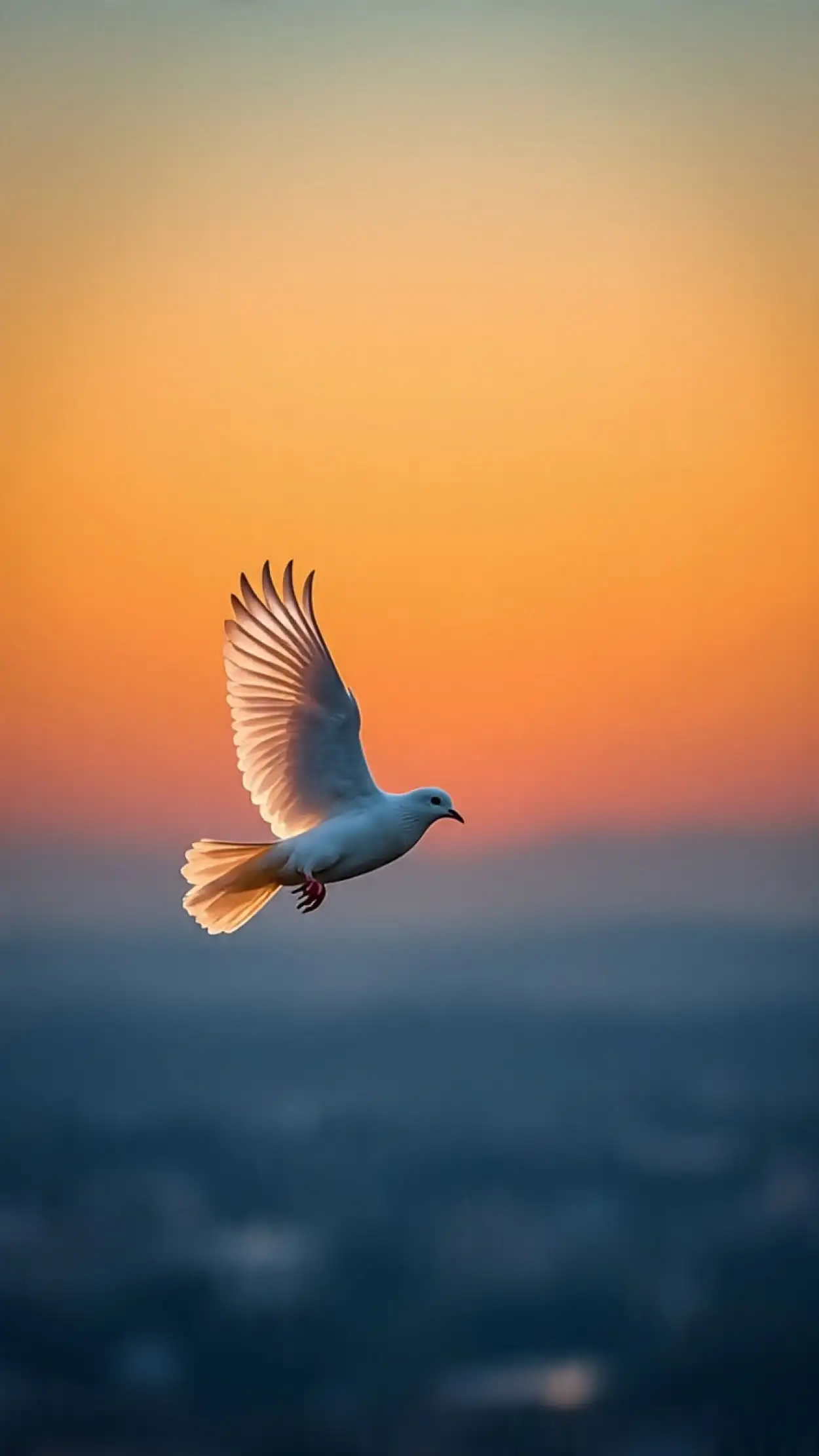 white dove flying in blue sky free for commercial use