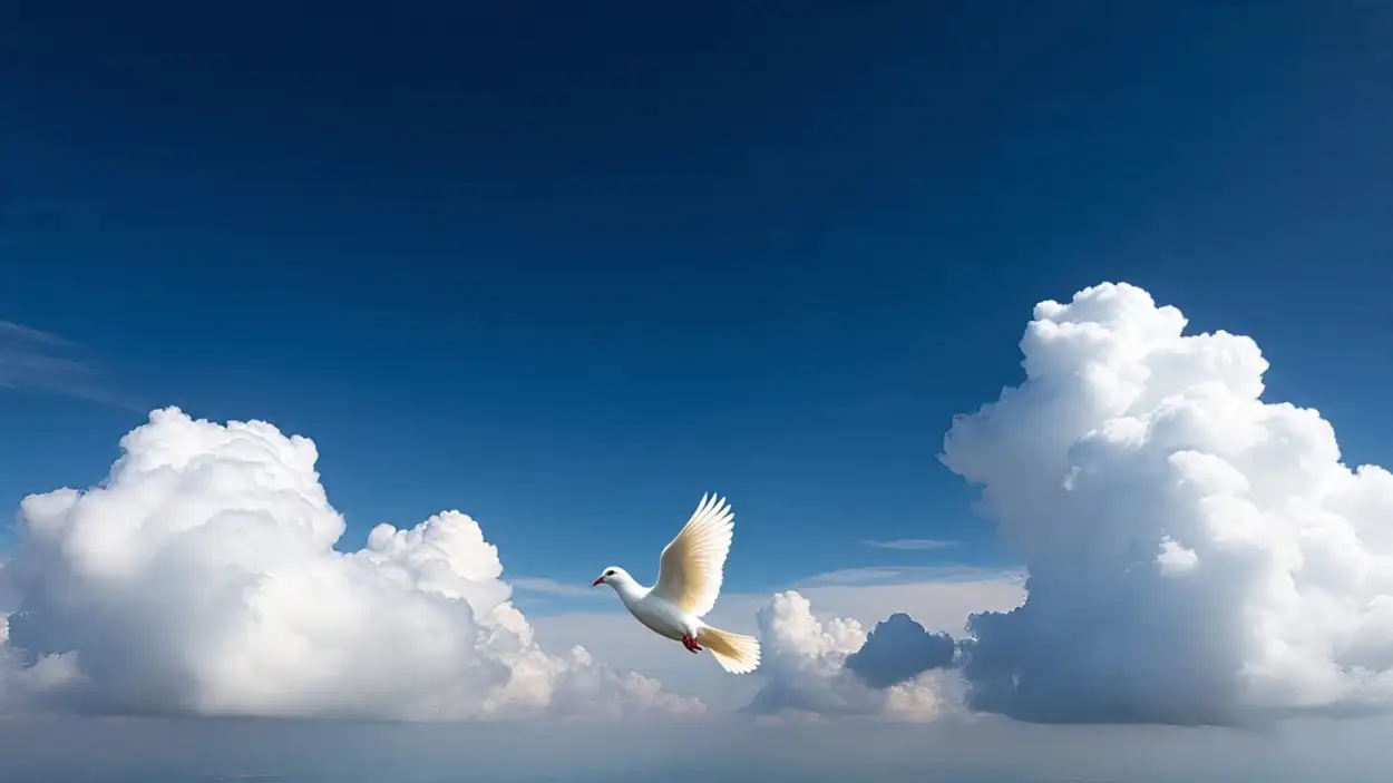 white dove flying in blue sky photo free