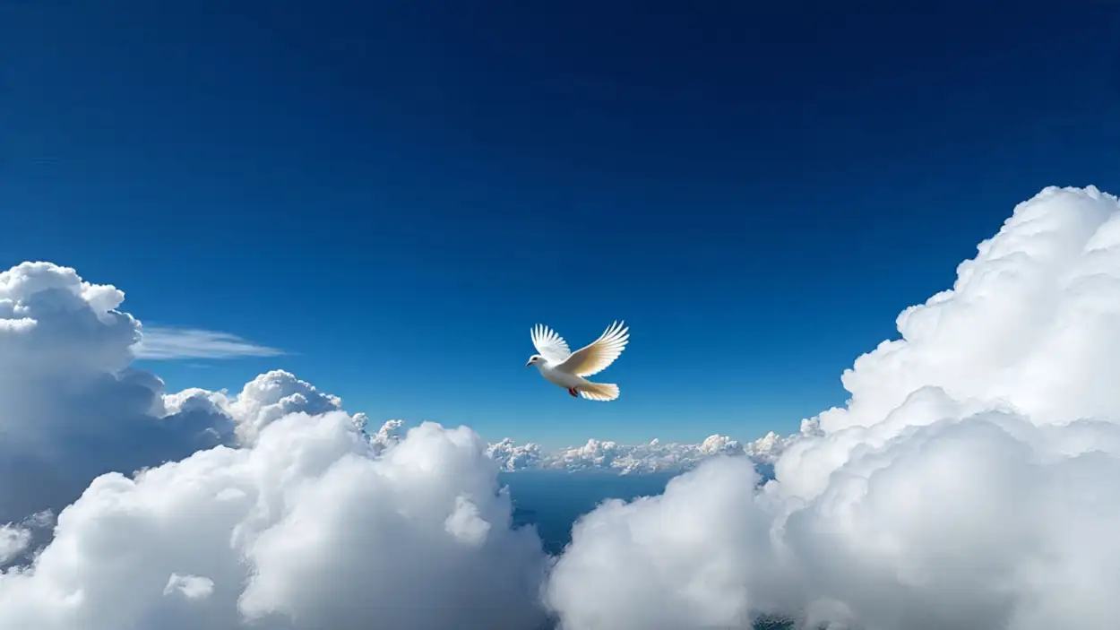 white dove flying in blue sky wallpaper hd