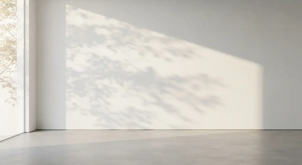 Free Download White Wall Background Soft Shadows - High Quality White Wall Background Background Image
