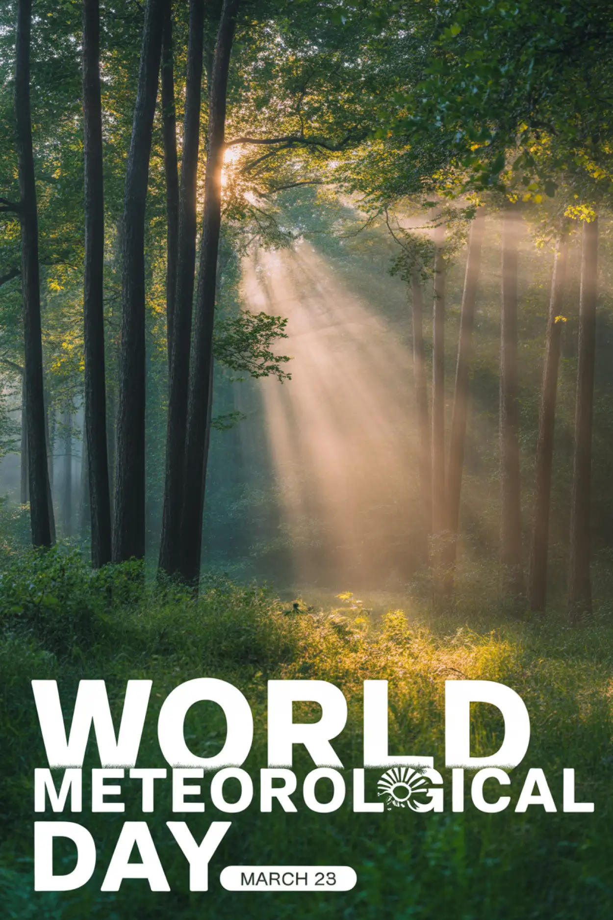 Free Download World Meteorological Day Climate Change Awareness - High Quality World Meteorological Day 2026 Date And Theme Image