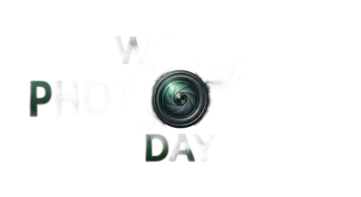 Free Download World Photography Day Photo Studio Png - High Quality World Photography Day Png Transparent PNG
