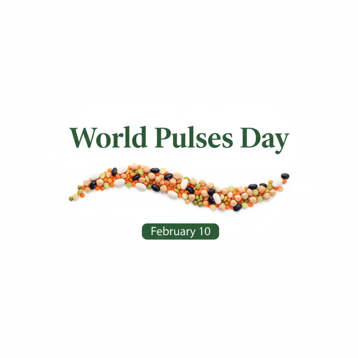 world pulses day essay