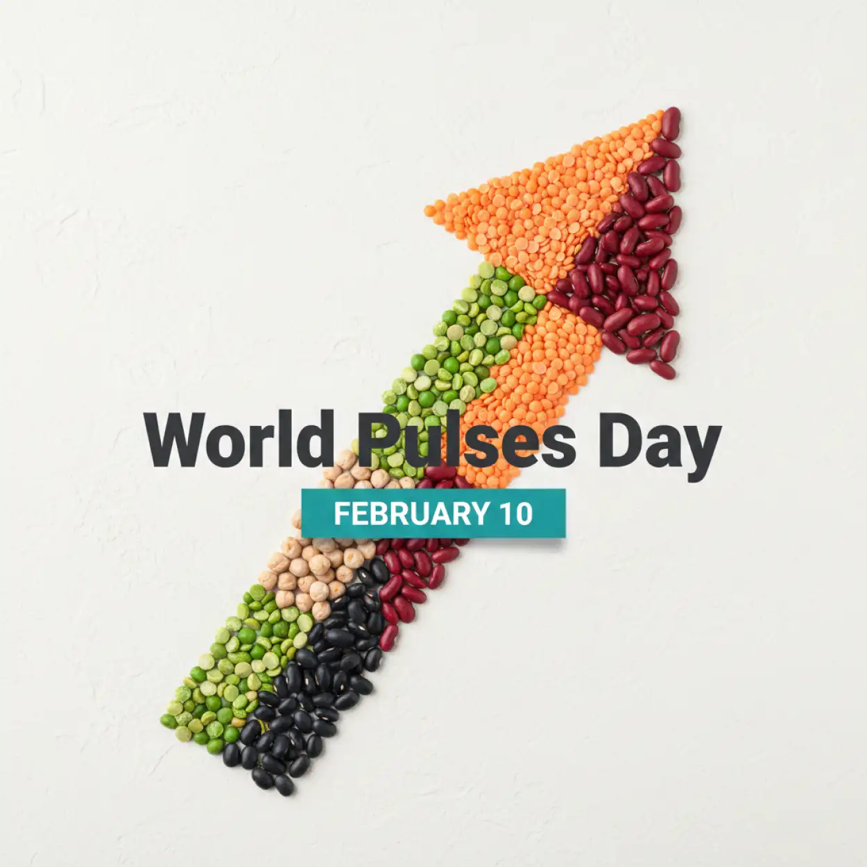 world pulses day nutrition education