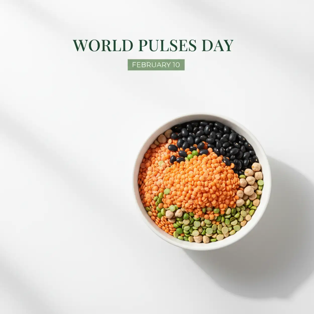 world pulses day vegetarian protein