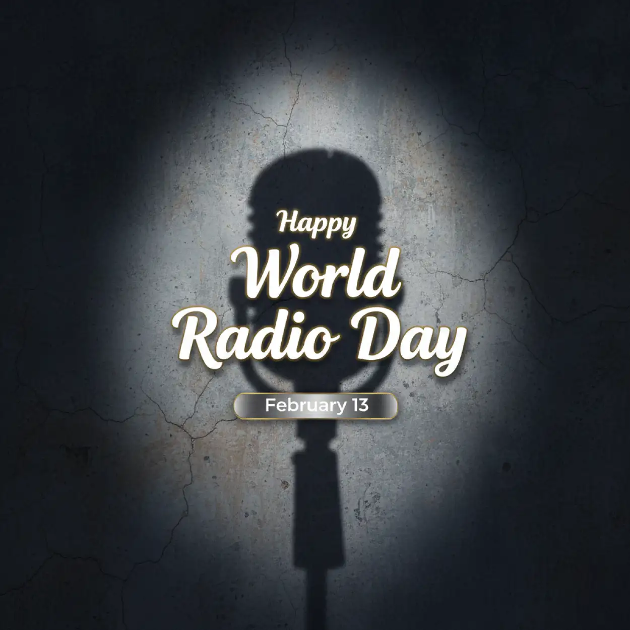 world radio day celebration ideas for ngo