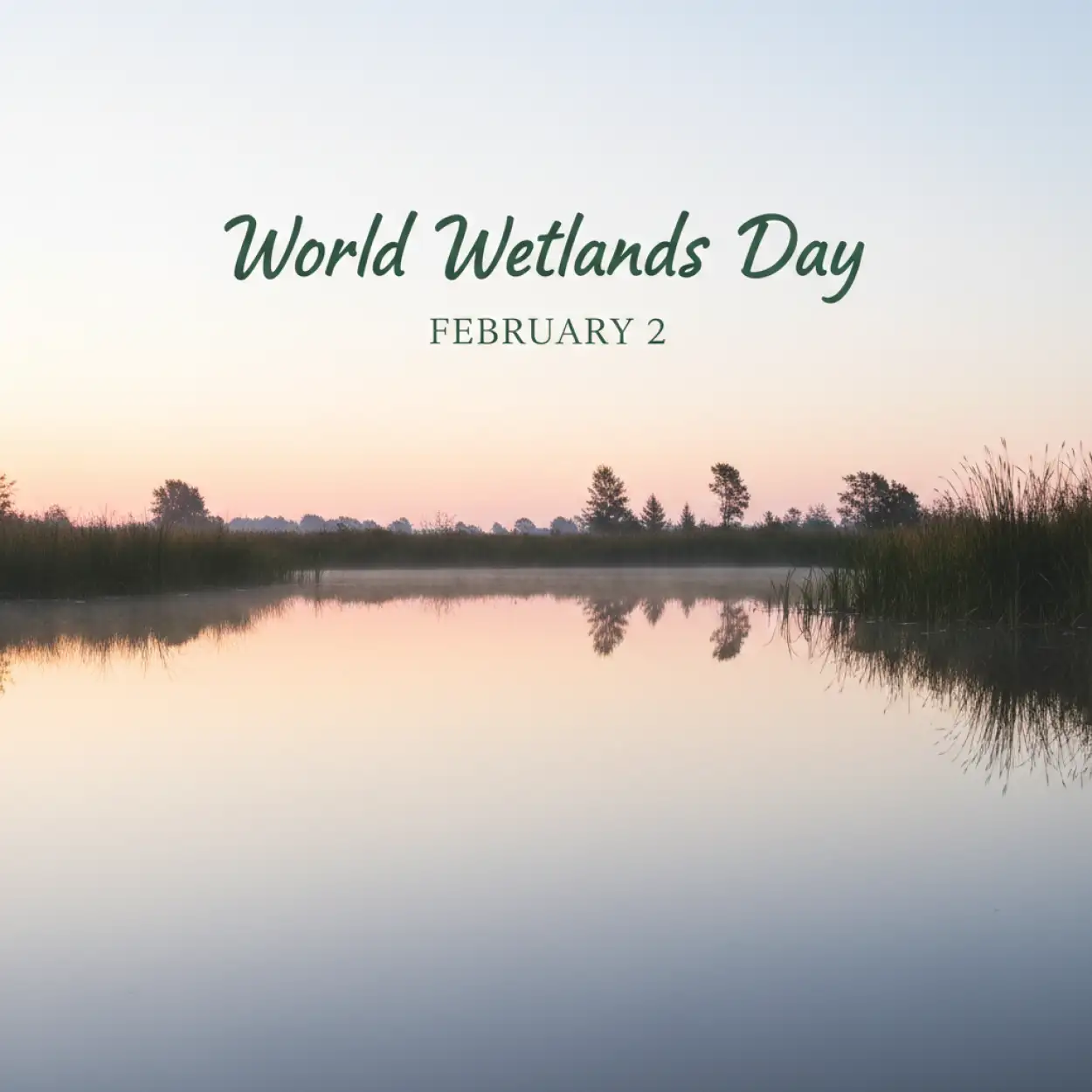 world wetlands day article
