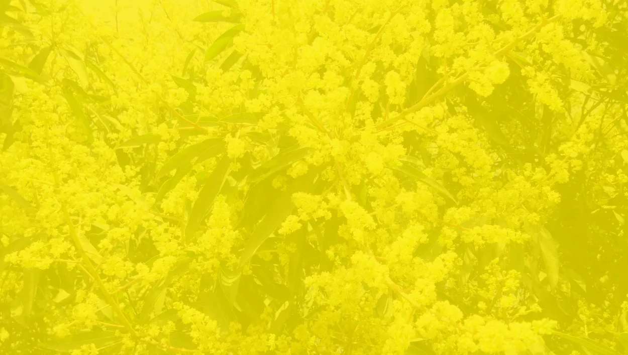 Yellow Nature Background